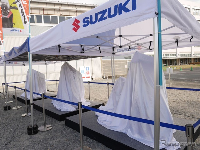 ヴェールに包まれた「サプライズ」