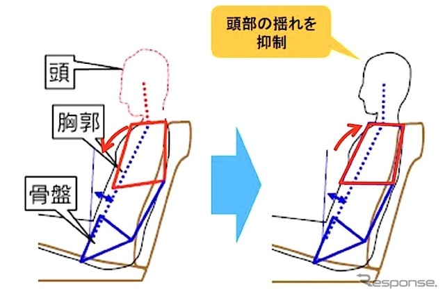 頭部揺れの抑制に寄与するシート形状