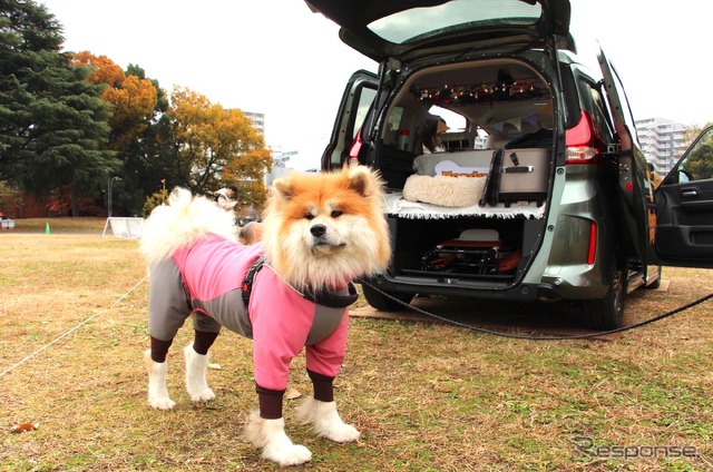Honda Dogブース(しっぽフェスタ2022)