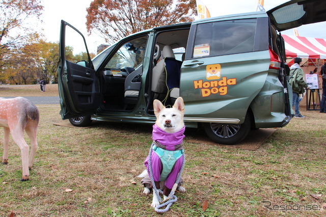 Honda Dogブース(しっぽフェスタ2022)