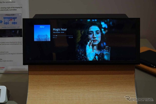 「Passenger Information Display」助手席の正面では通常通り映像を視認できる