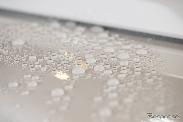 水玉の高さが撥水力を物語っている