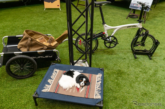 ペットの家族化が生み出す新しいキャンピングカー市場…ジャパンキャンピングカーショー2023