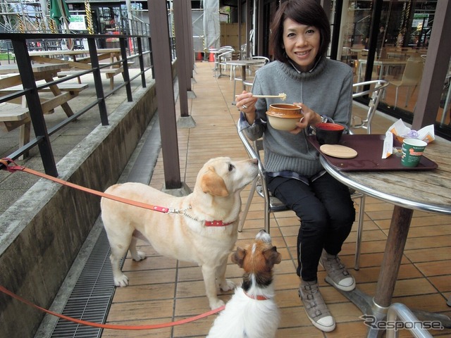 青山の愛犬「ララ」