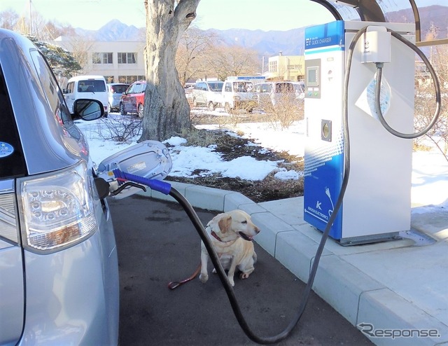 青山の愛犬「ララ」