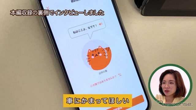 私はここよ、なでて(考察:車にかまって欲しい)