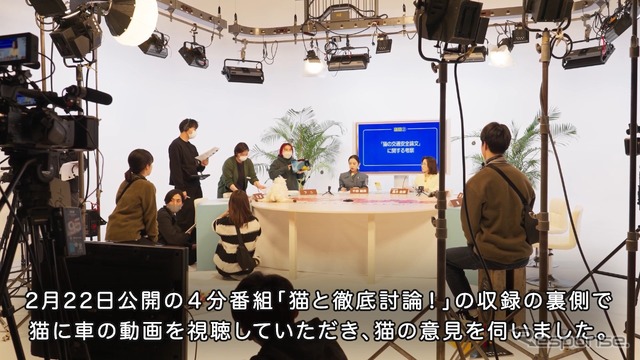 「猫と徹底討論!」収録