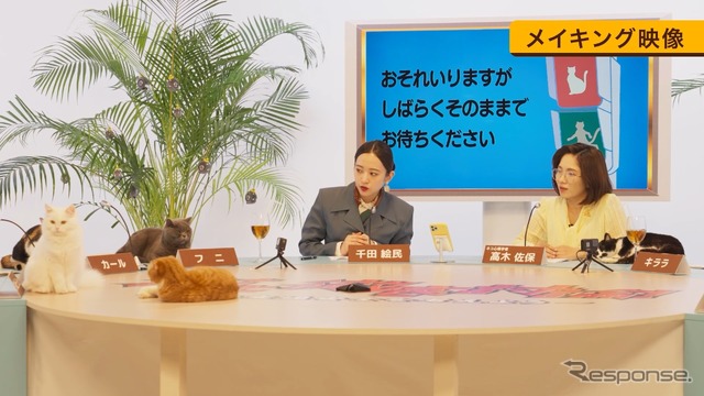 「猫と徹底討論!」収録