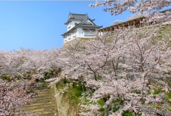 鶴山公園