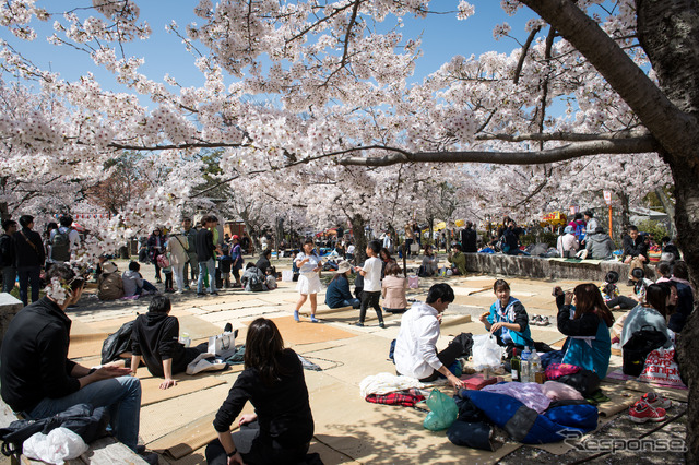 円山公園