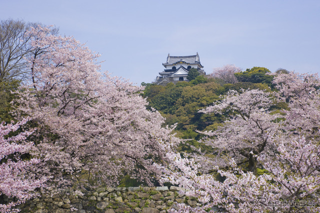 彦根城