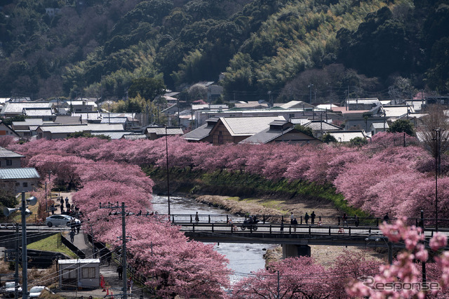 河津町