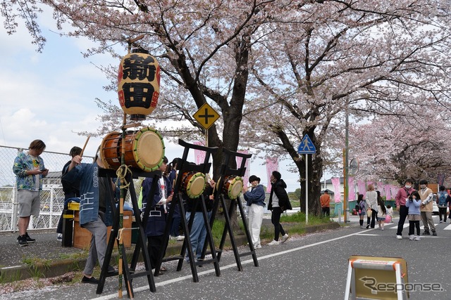 桜吹雪と名車の饗宴…オールドカーミーティングin清久さくらまつり