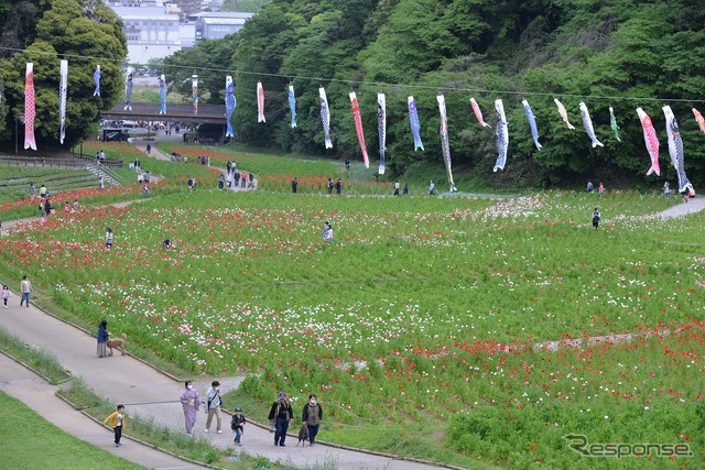くりはま花の国 横須賀ヒストリックカーデイ8th