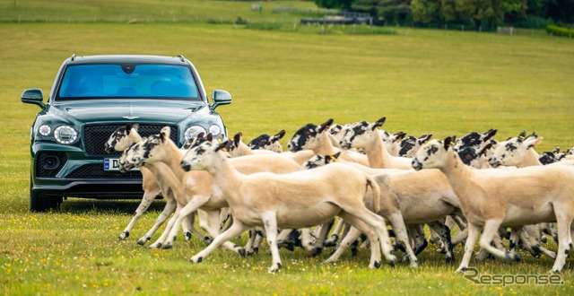 ベントレーが参加する英国の愛犬家イベント「グッドウーフ・フェスティバル」