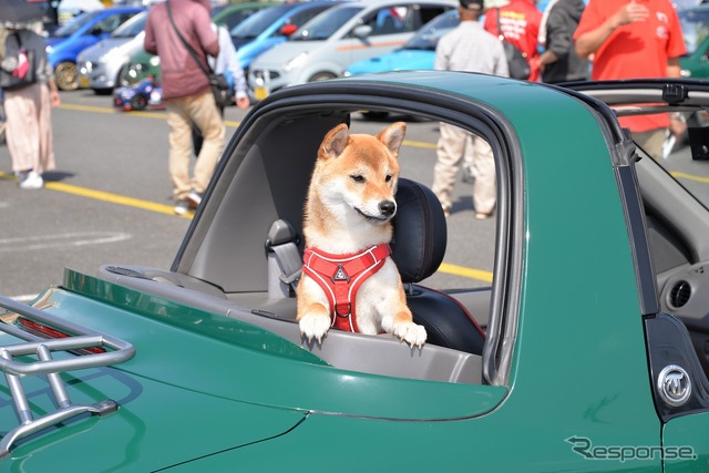 小さくて可愛いサブロク軽が大集合…昭和平成 旧軽自動車大展示会