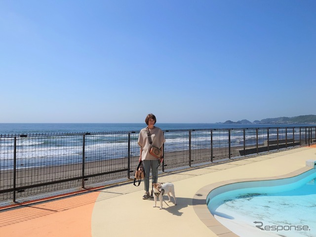 初夏からの愛犬とドライブする時に役立つ神アイテム 2023年度版