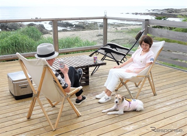 初夏からの愛犬とドライブする時に役立つ神アイテム 2023年度版