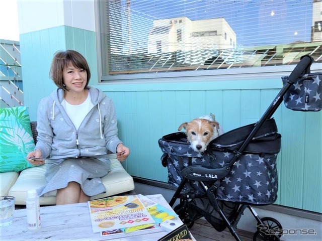 初夏からの愛犬とドライブする時に役立つ神アイテム 2023年度版