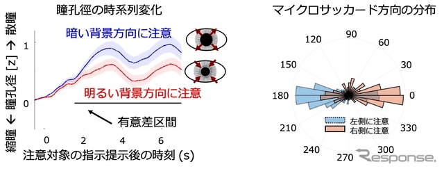 瞳孔径の時系列変化とマイクロサッカード方向の分布