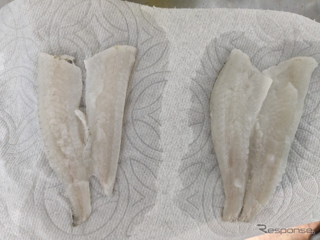 あらかじめ準備しておけば車内で調理どころか魚の下処理もできちゃいます。