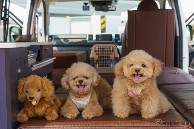 特別な存在になった愛犬たち。