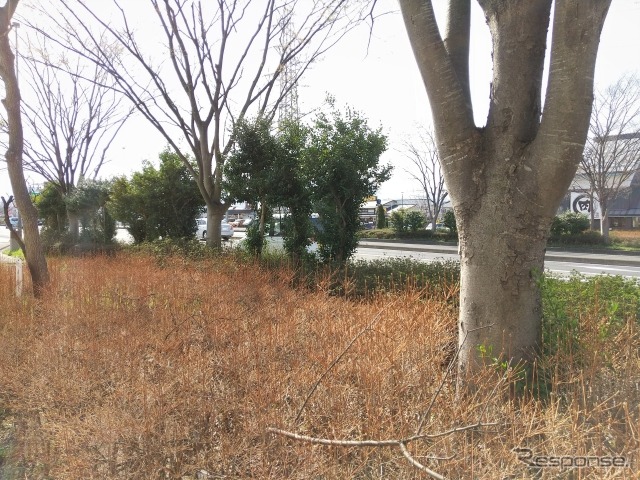 (イメージ)