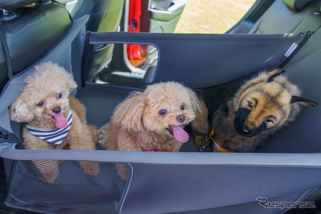 「ペットシートサークル」は小型犬なら3頭でも十分なスペースがありそうだ。