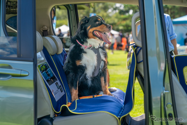 「ペットシートマット」でフリード+の後席を愛犬専用スペースに。大型犬でも十分な広さだ。