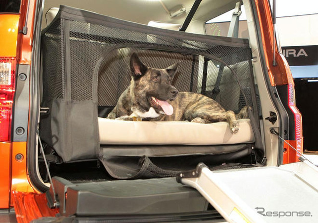 【ニューヨークモーターショー09】ホンダ エレメント…愛犬家バージョン登場