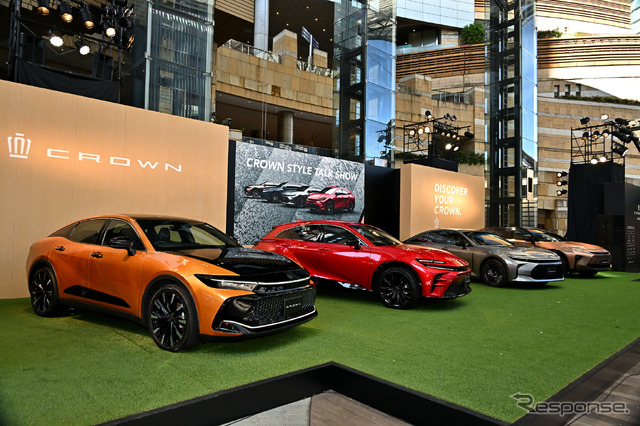 CROWN STYLE PARK