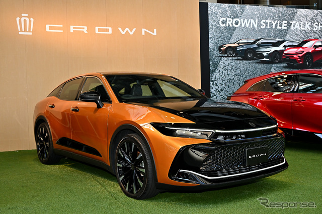 CROWN STYLE PARK