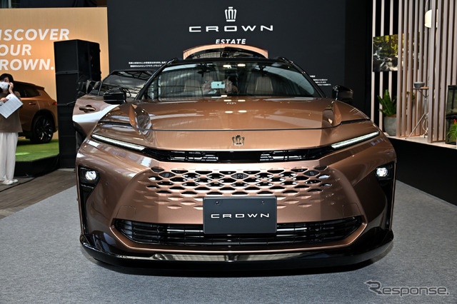CROWN STYLE PARK