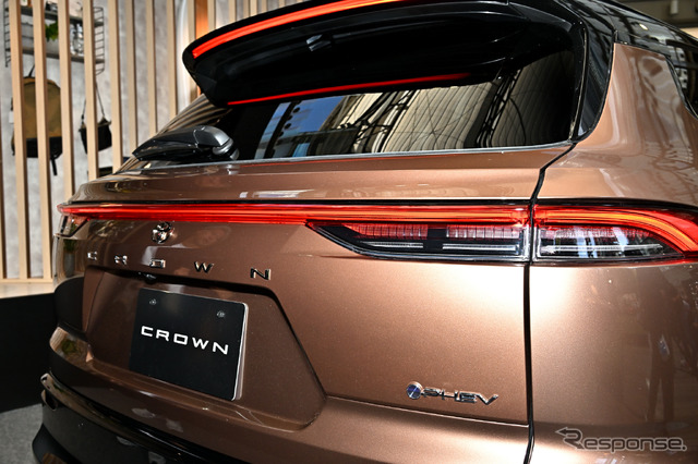CROWN STYLE PARK