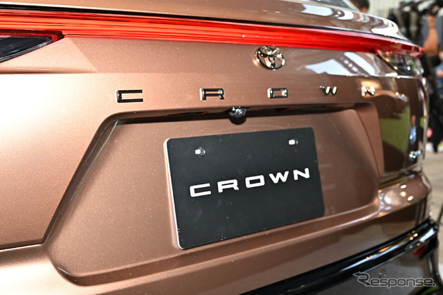 CROWN STYLE PARK