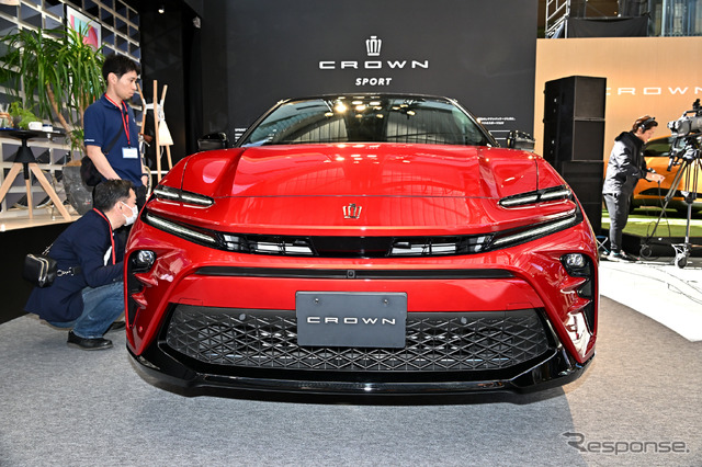 CROWN STYLE PARK