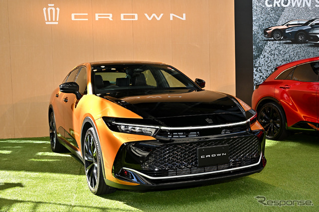CROWN STYLE PARK