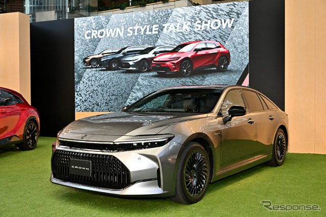 CROWN STYLE PARK