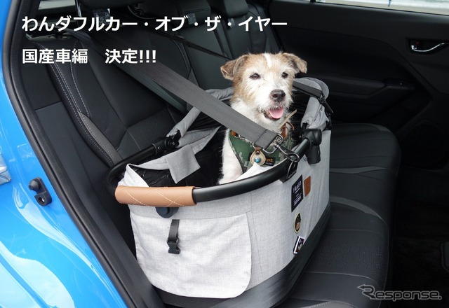 わんダフルカー・オブ・ザ・イヤー 2023-2024 国産車編