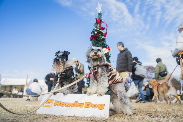 Honda Dog/ホンダアクセス(Sippo Festa 2023 秋)