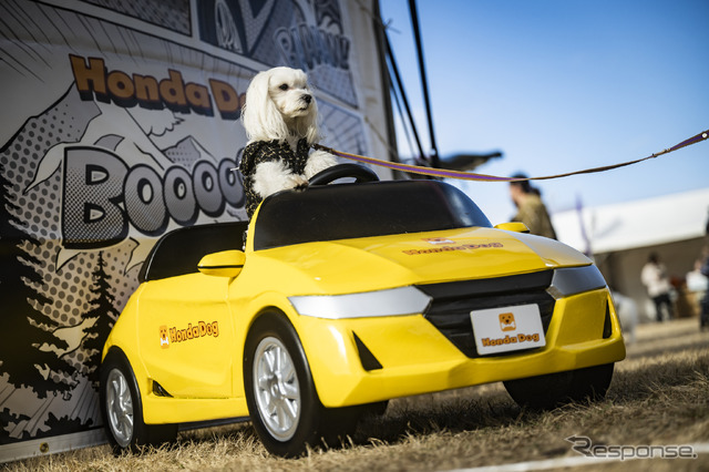 Honda Dog/ホンダアクセス(Sippo Festa 2023 秋)