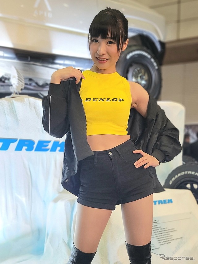 ダンロップ(夏目みさこ)