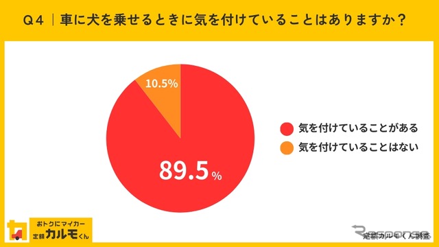 車に犬を乗せるときに気を付けていることはありますか?