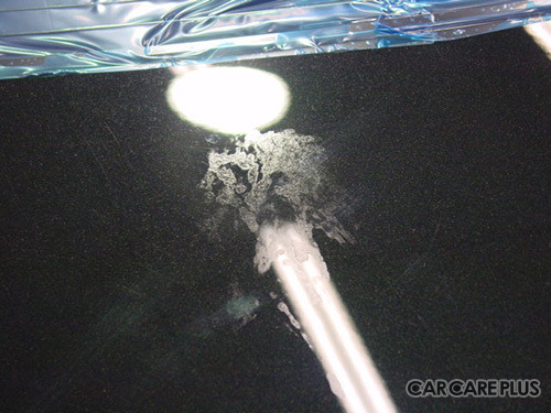 【プロが答える】早さ? 丁寧な拭き取り? 「虫」から愛車を守る術… 回答 アペックス