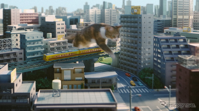 イエローハットTVCM:『猫って予想外』