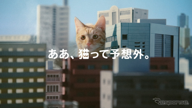イエローハットTVCM:『猫って予想外』
