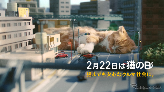 イエローハットTVCM:『猫って予想外』