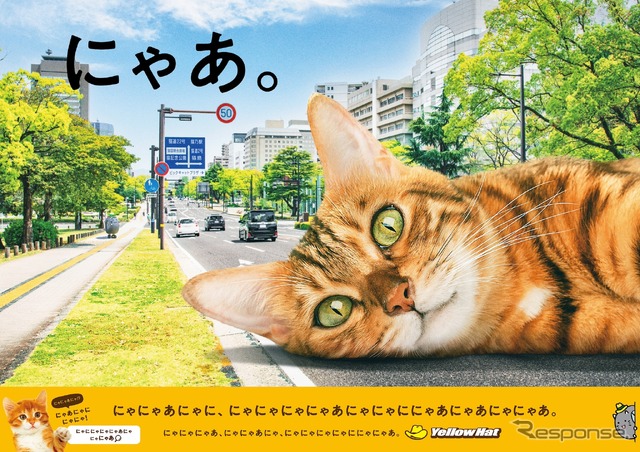 イエローハット「巨大猫ポスター」