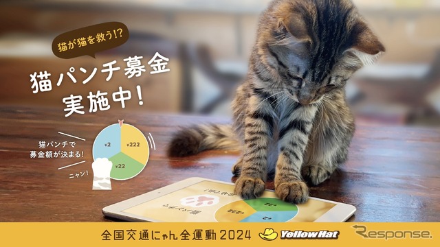 イエローハット:猫パンチ募金