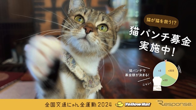 イエローハット:猫パンチ募金